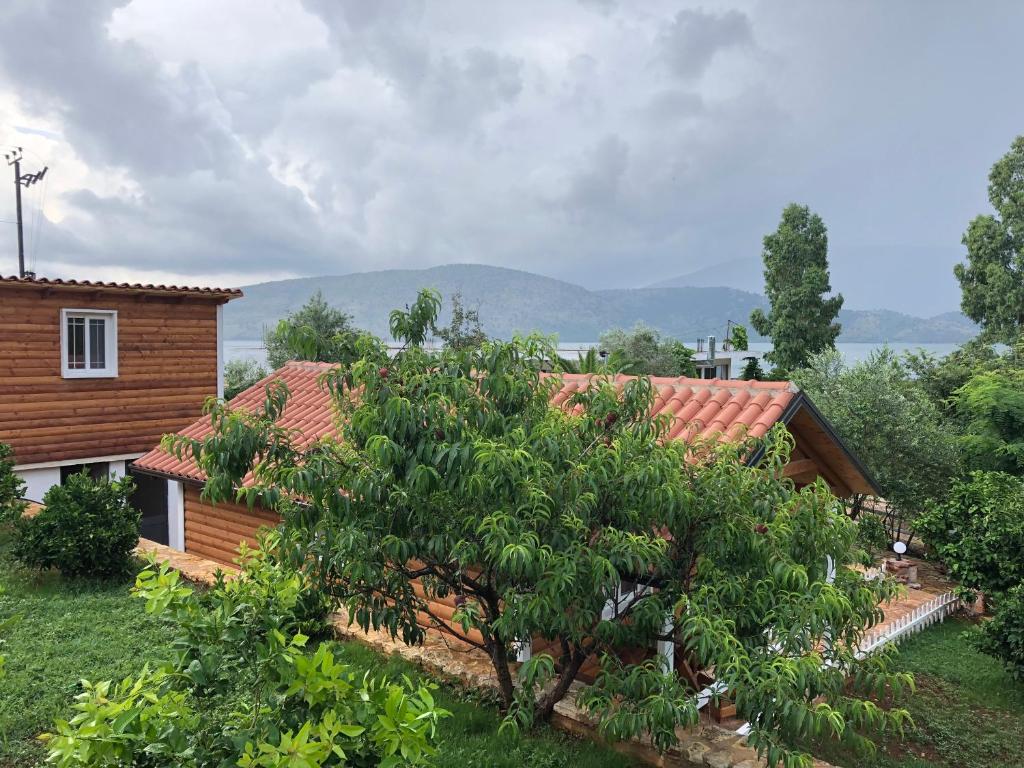 a house with a tree in front of it at The Mussel House in Ksamil