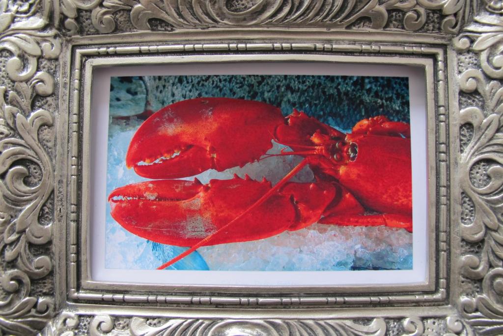 a painting of a red lobster in a frame at Hummerstübchen Morsum in Morsum