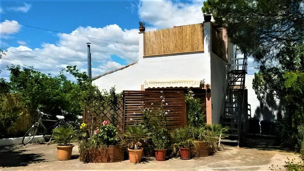 a building with a bunch of potted plants in front of it at La Casita in Manacor