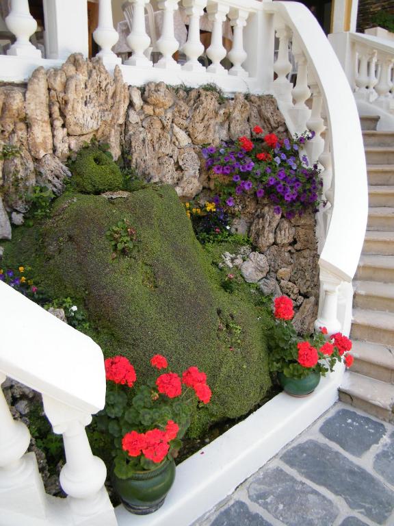 Zahrada ubytování Grand Hôtel du Parc