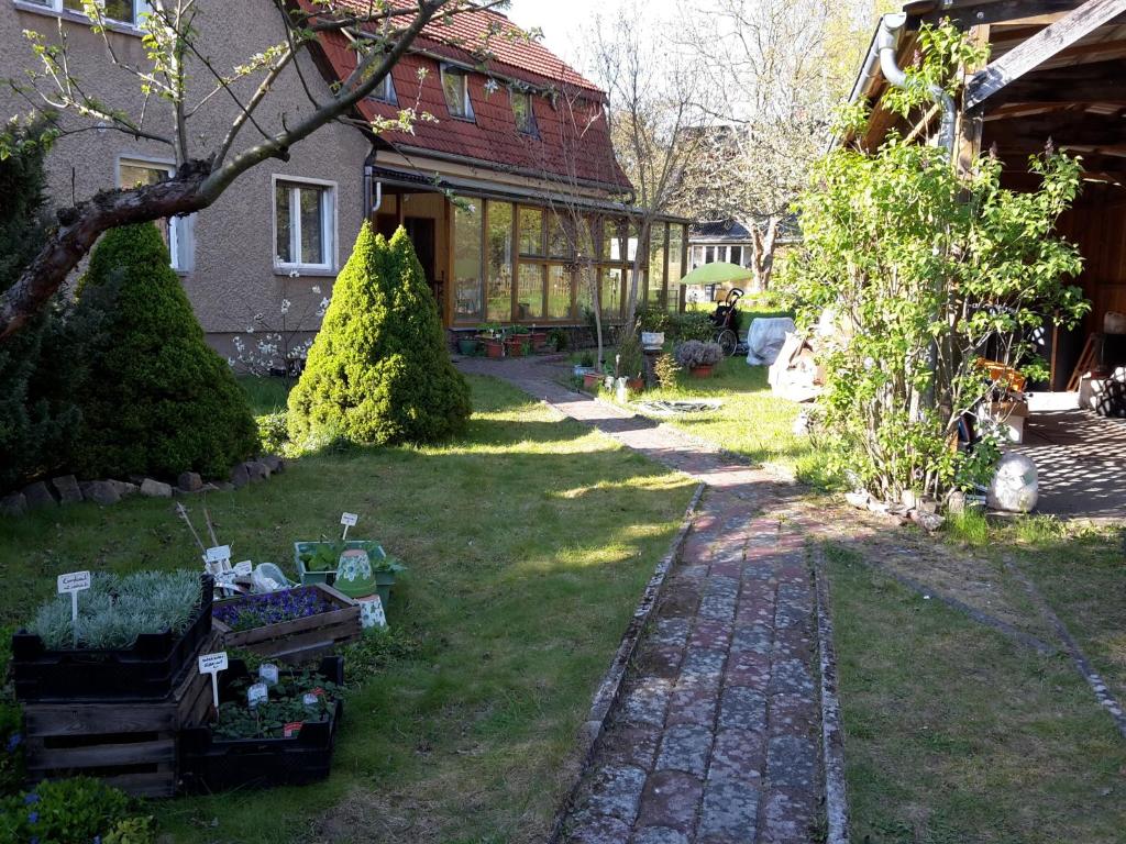 ein Hof eines Hauses mit einem Garten mit Pflanzen in der Unterkunft Kräuter-Heidi in Schwielowsee