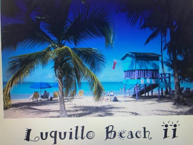uma imagem de uma praia com uma palmeira em Luquillo Beach Vacation em Luquillo