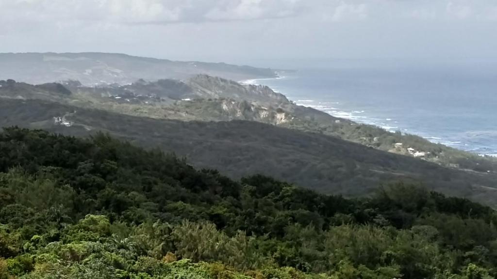 a view of the ocean from a hill with trees at The Pool House in Saint Philip