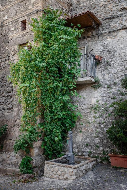 Zdjęcie z galerii obiektu LaVistaDeiSogni Muranuove w mieście Celano