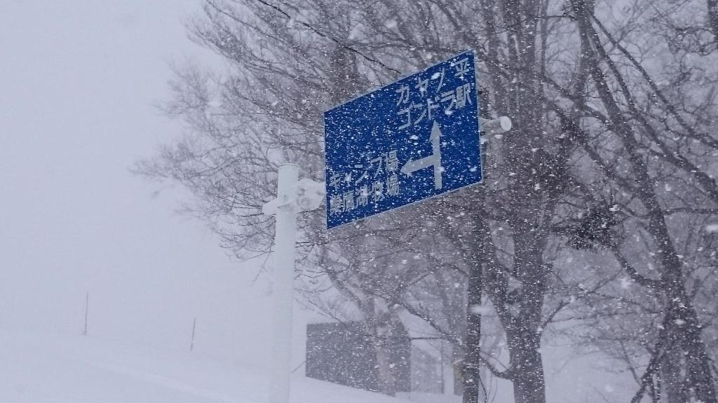 Nozawa Dream v zimě