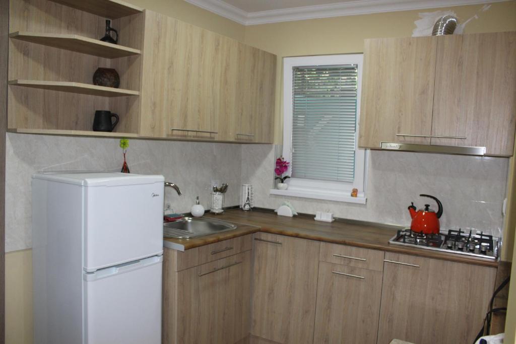 Kuchyň nebo kuchyňský kout v ubytování Easy Guest House
