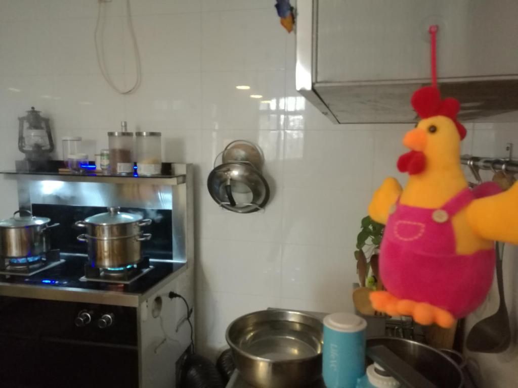 Kuchyň nebo kuchyňský kout v ubytování Pure-Land Villa