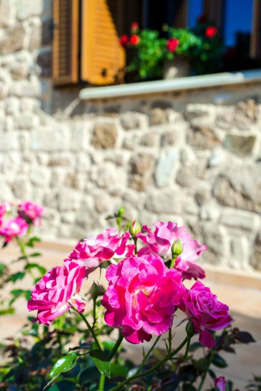 A garden outside Villa Anerocurù by Chania city