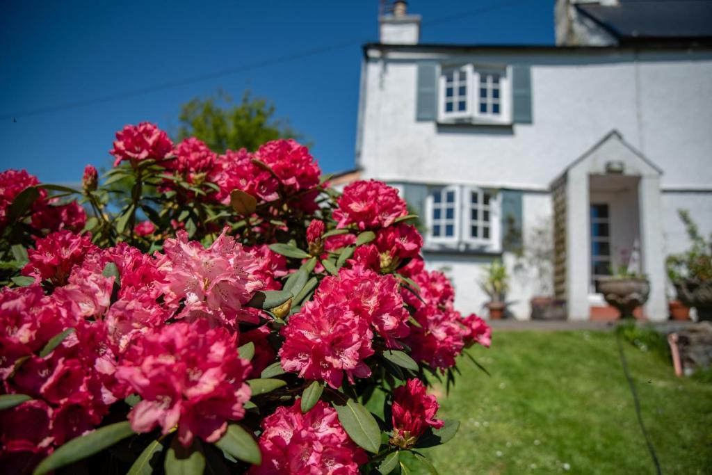 Brentor Self-catering in Brentor, Devon, England