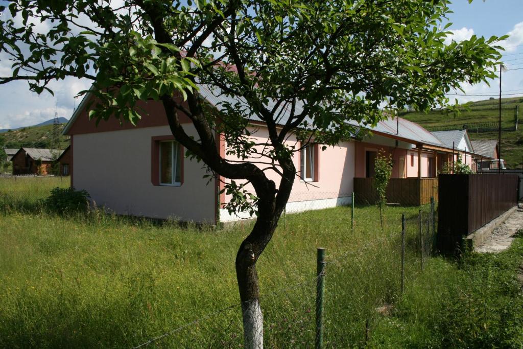 un piccolo albero di fronte a una casa di Котедж Ялівець a Kolochava