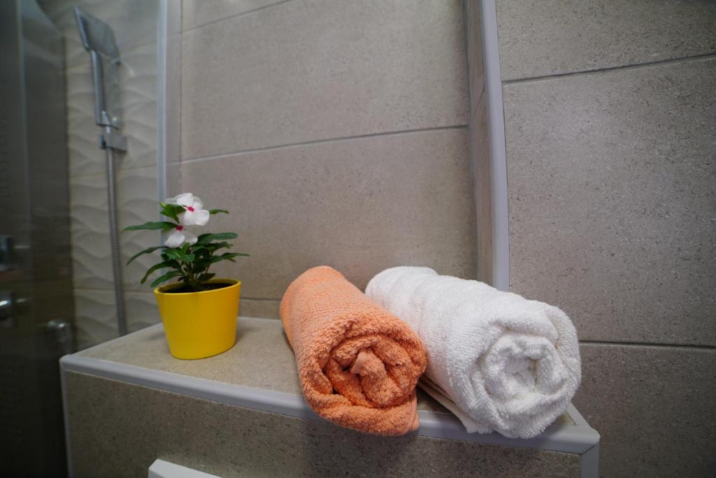 Villa Korona Apartments - 16