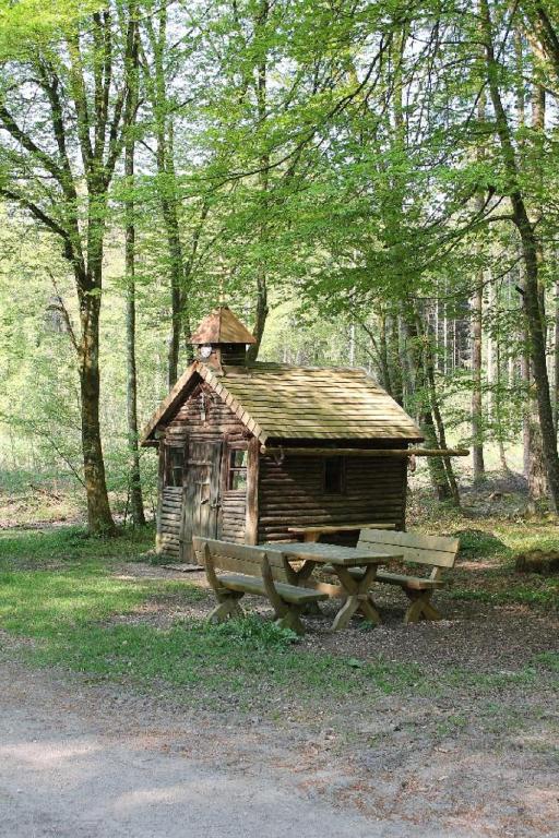 Příroda nedaleko apartmánu