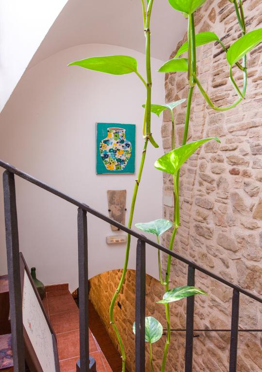 Fotografie z fotogalerie ubytování Cal Tomas, Ecoturisme Terra Alta v destinaci Bot