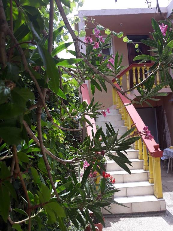 a set of stairs leading to a house with flowers at Apartman Tatjana in Sutomore