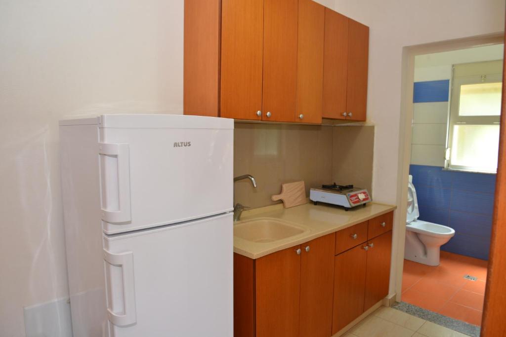 Kuchyň nebo kuchyňský kout v ubytování Hotel Gonaj