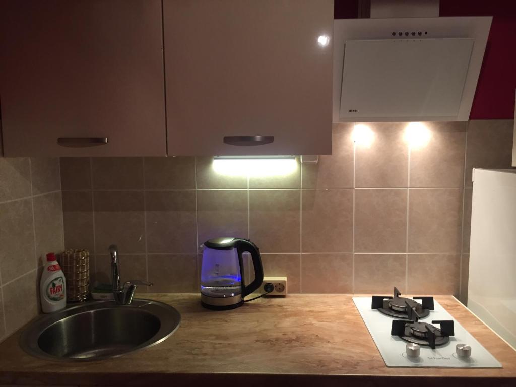 a kitchen counter with a sink and a phone on it at Cat Garden Domina Apartments Riga in Rīga