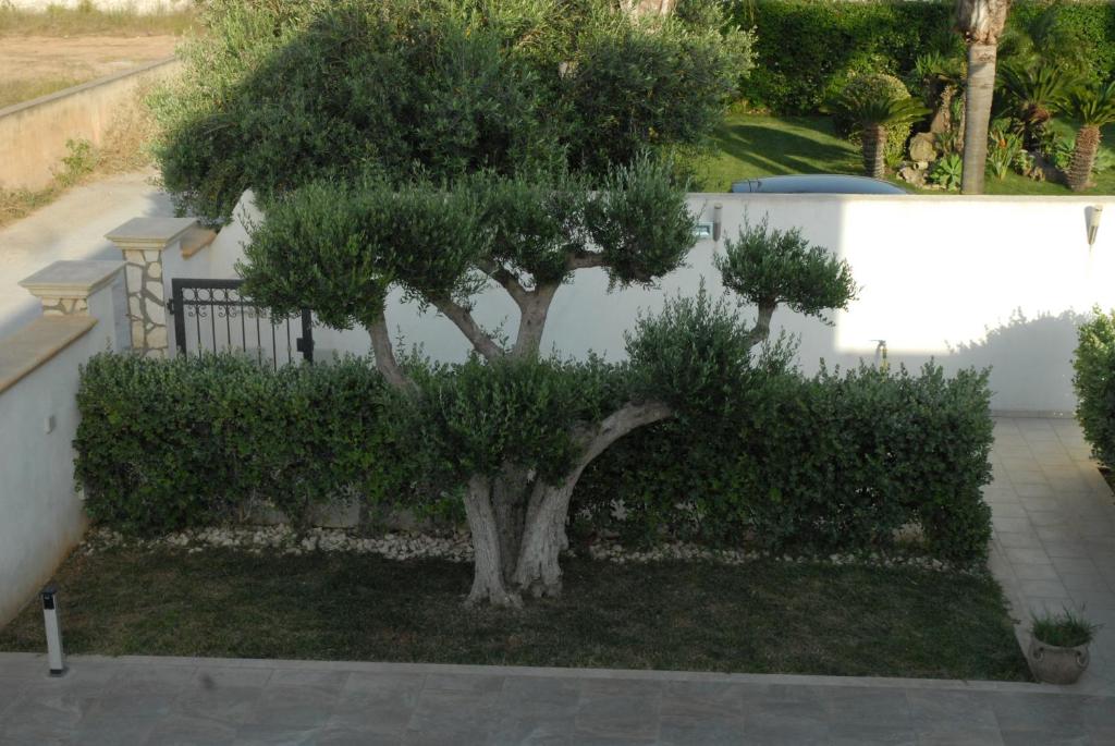 A garden outside Oasi Tortuga Residence Piscina e barbecue h24