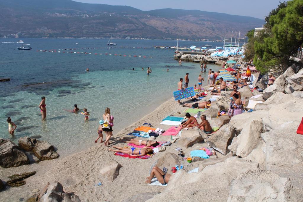 Guest House Tomanovic - 19