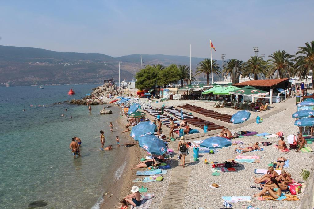 Guest House Tomanovic - 18