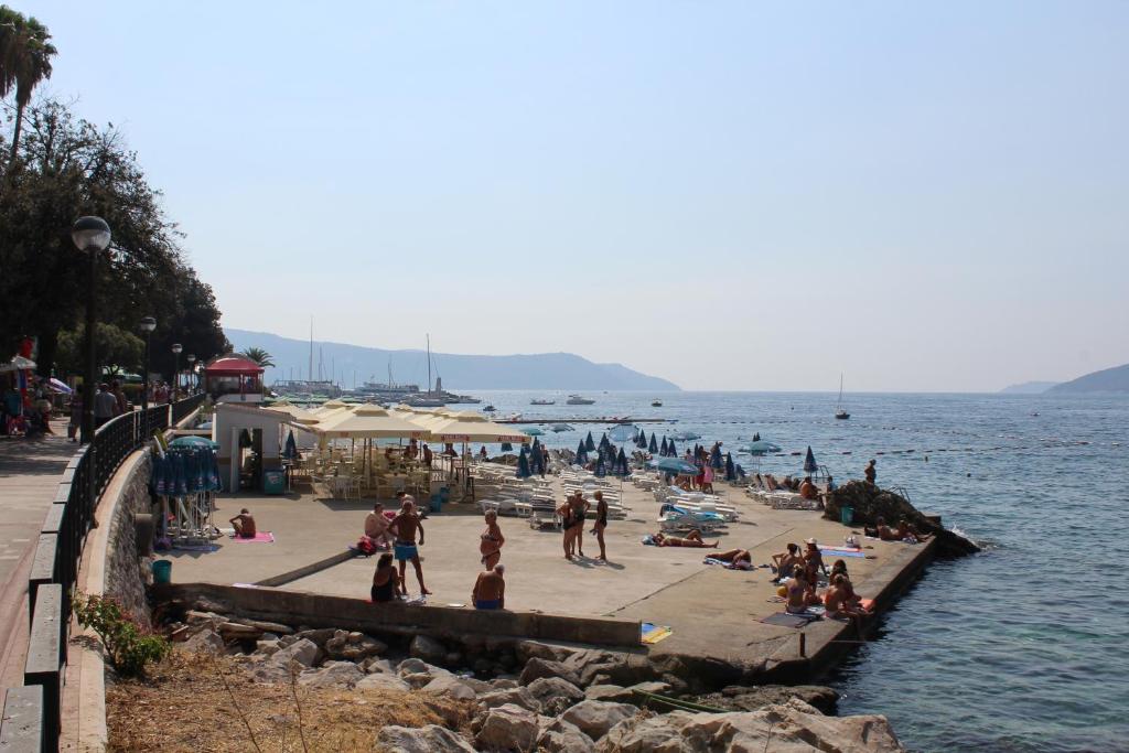 Guest House Tomanovic - 16