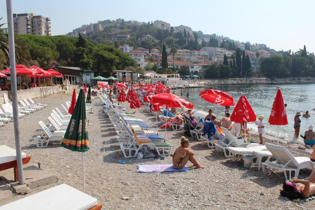 Guest House Tomanovic - 17