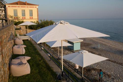 Príroda v okolí apartmánu