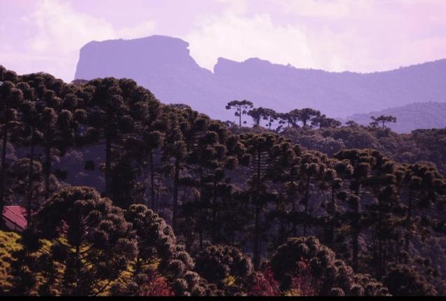  Repouso Mantiqueira