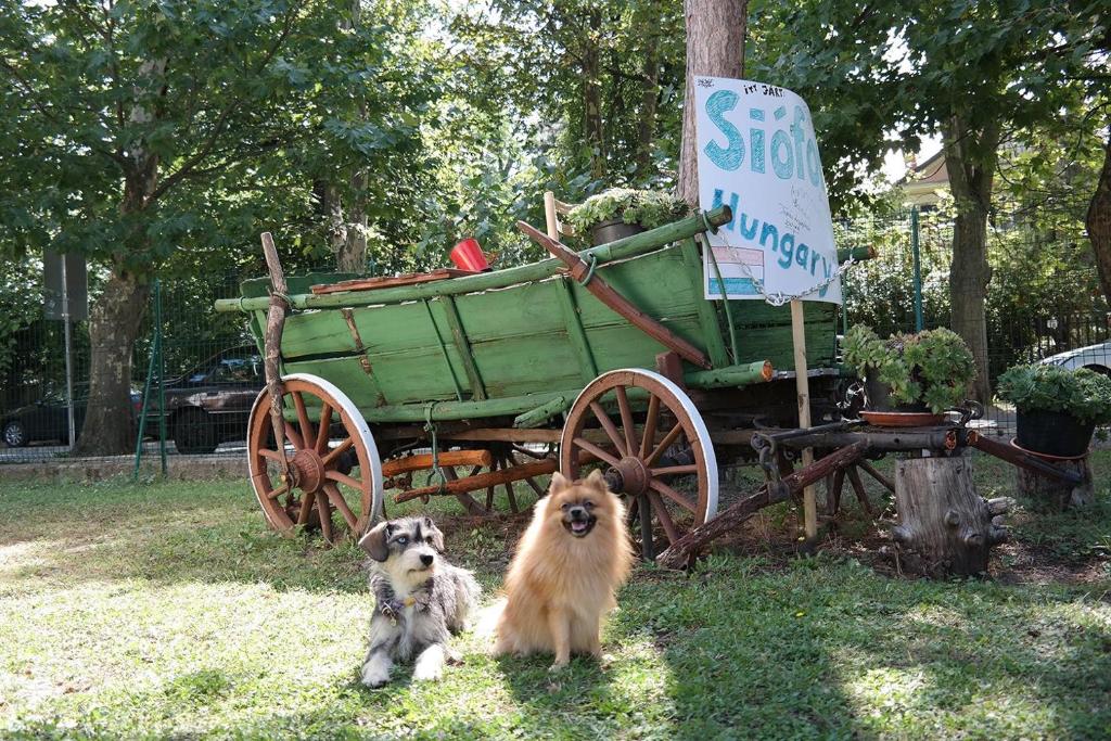 two dogs are sitting next to a wooden cart at Aqua Hostel in Si&oacute;fok