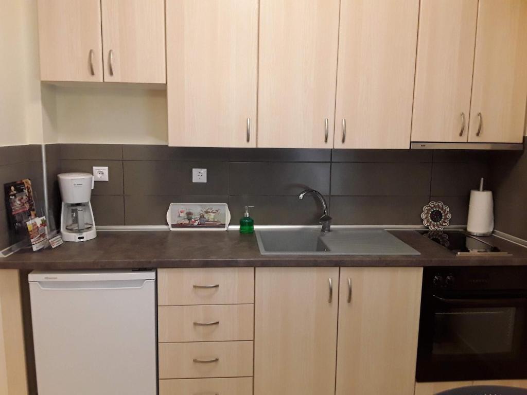 Lion Apartment Sunset - 18