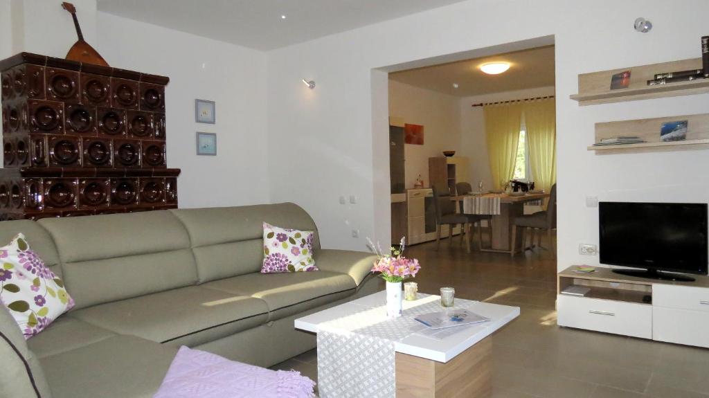 a living room with a couch and a tv at Ane Apartment in Loborika