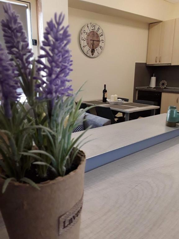 Lion Apartment Sunset - 17