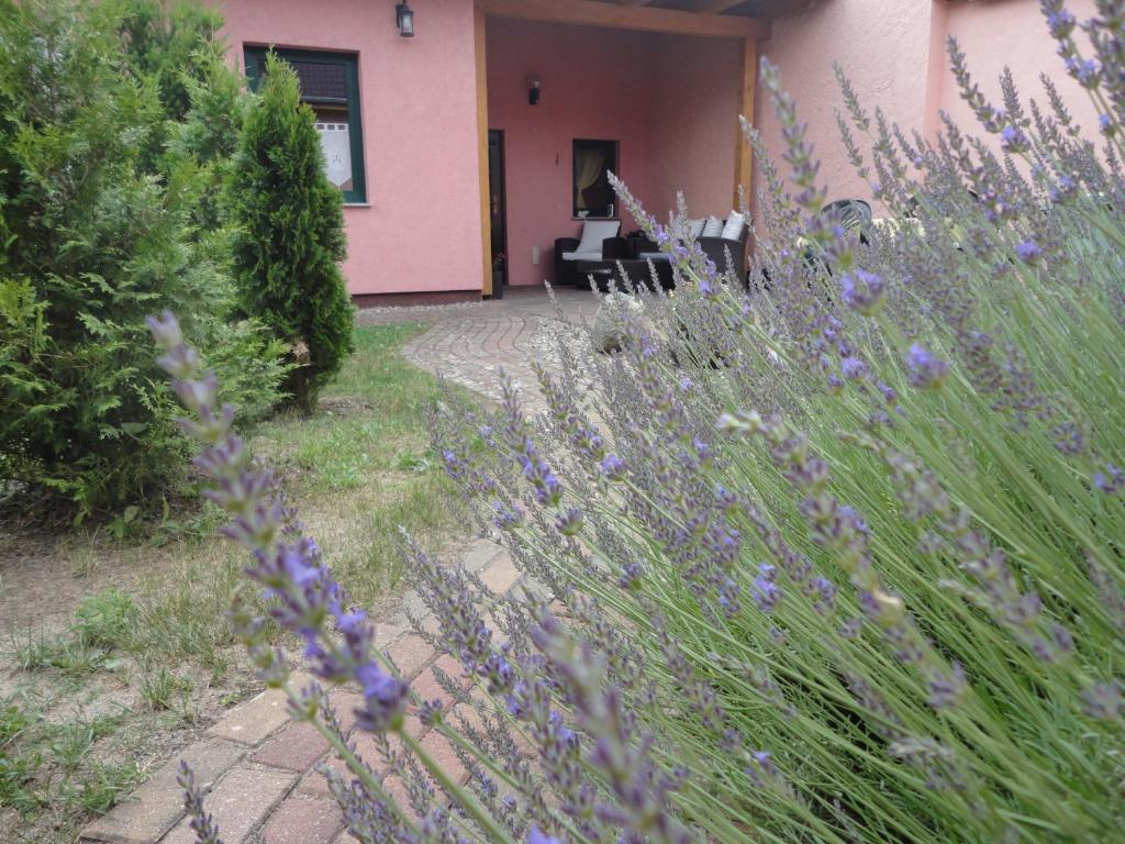 Zahrada ubytování Ferienhaus Krüger