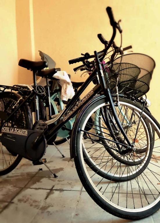 Jízda na kole v ubytování Hotel La Scaletta nebo okolí