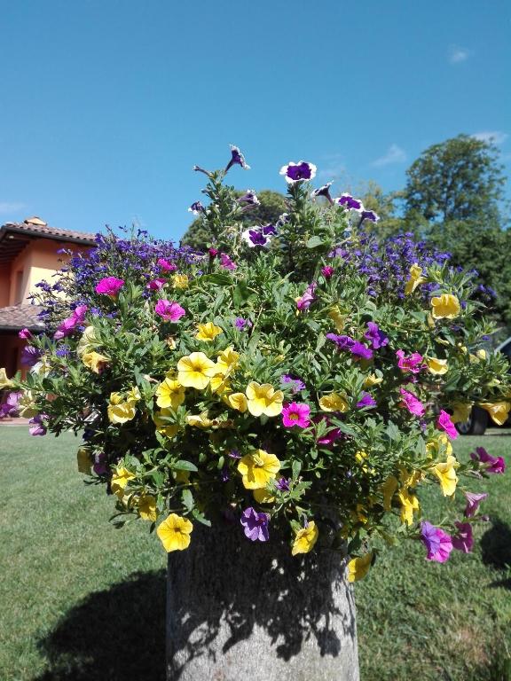 Zahrada ubytování B&B Villa Claudia