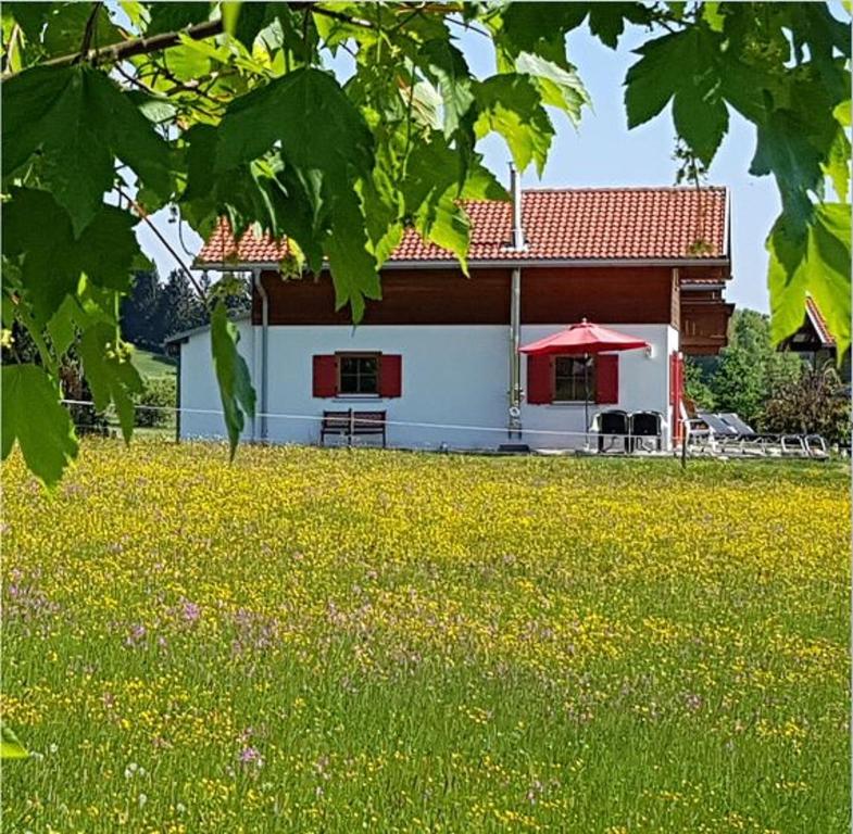 una casa con un campo di fiori davanti di Allgäuferienhaus Sandra a Lechbruck