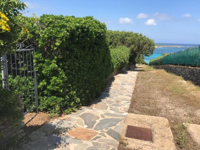 a stone path next to a hedge with a gate at Casa La Pelosa Beach in Stintino