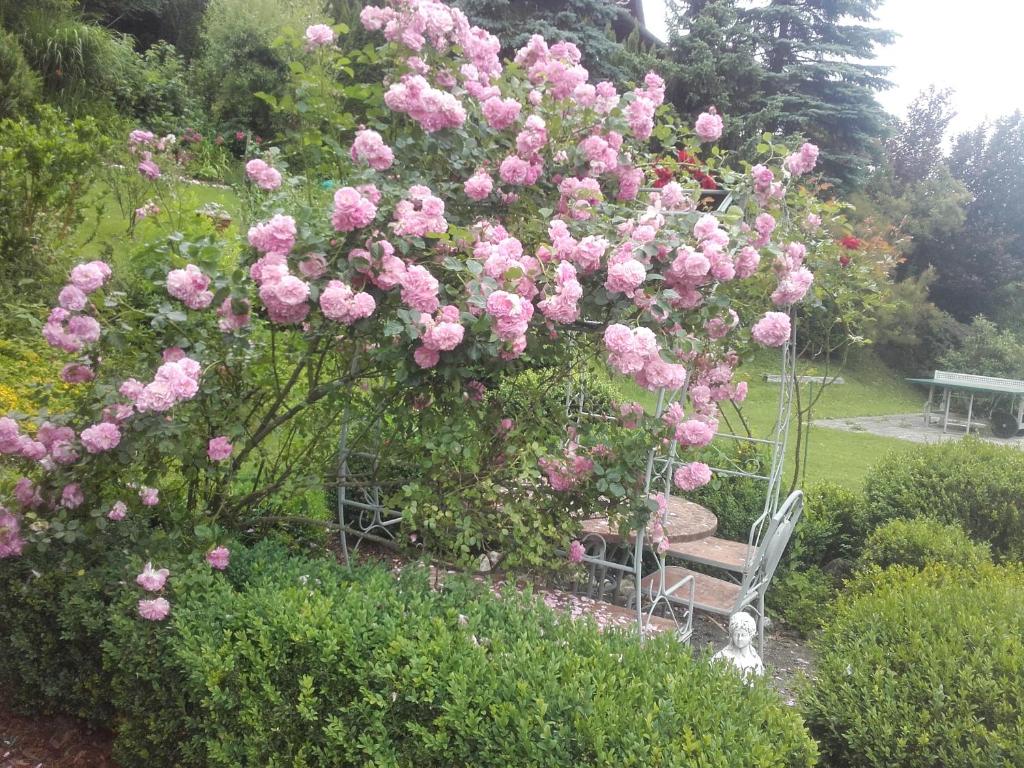 Zahrada ubytování Appartement - Ferienwohnungen - Gästehaus Gabriele