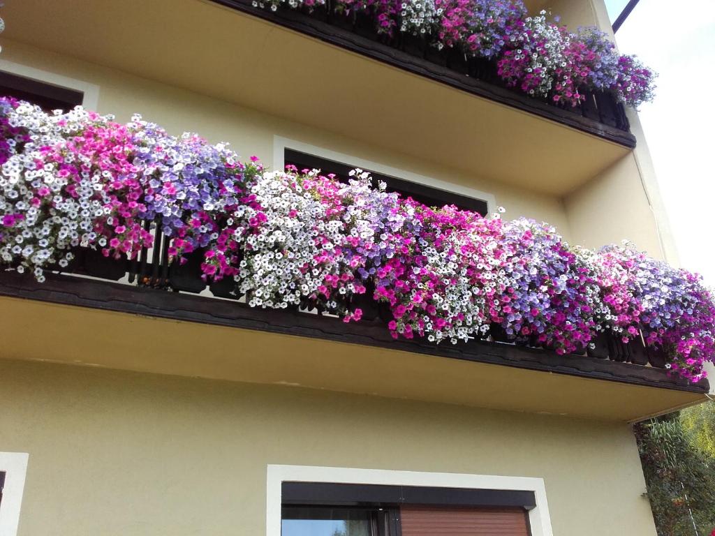 Balkón nebo terasa v ubytování Appartement - Ferienwohnungen - Gästehaus Gabriele