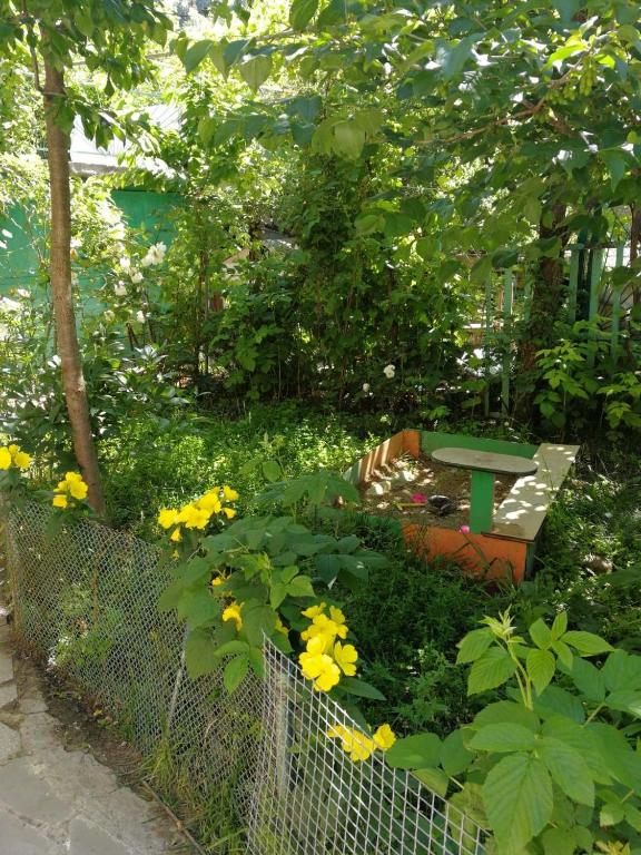 Zahrada ubytování Guest House Shvelidze