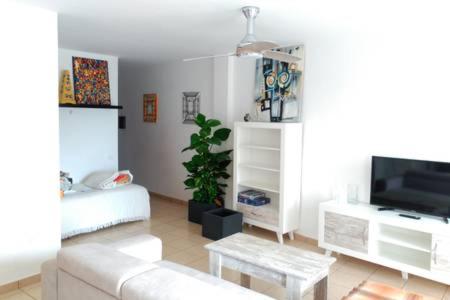 a living room with a couch and a tv at Teleworking Panoramablick Neuwertig Grosse Wohnung in Los Realejos