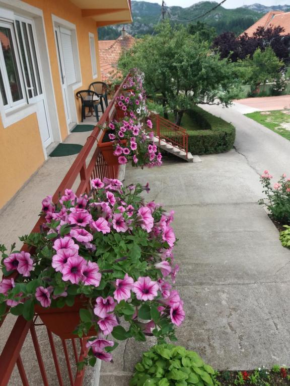 Apartments Mirković - 8