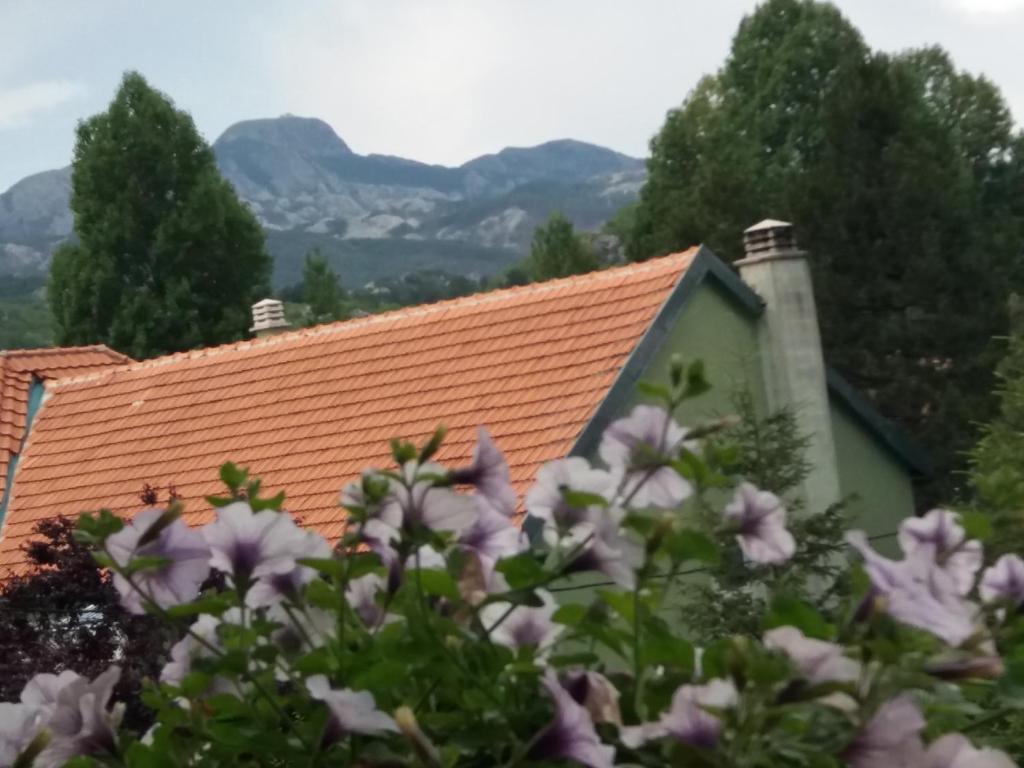 Apartments Mirković - 10