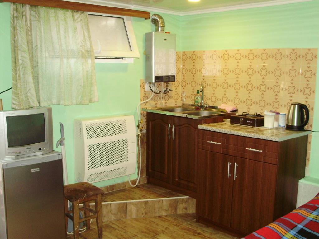 Kuchyň nebo kuchyňský kout v ubytování Apartment On Erekle 25a
