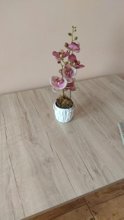 Iren Apartment - Studio Apartment