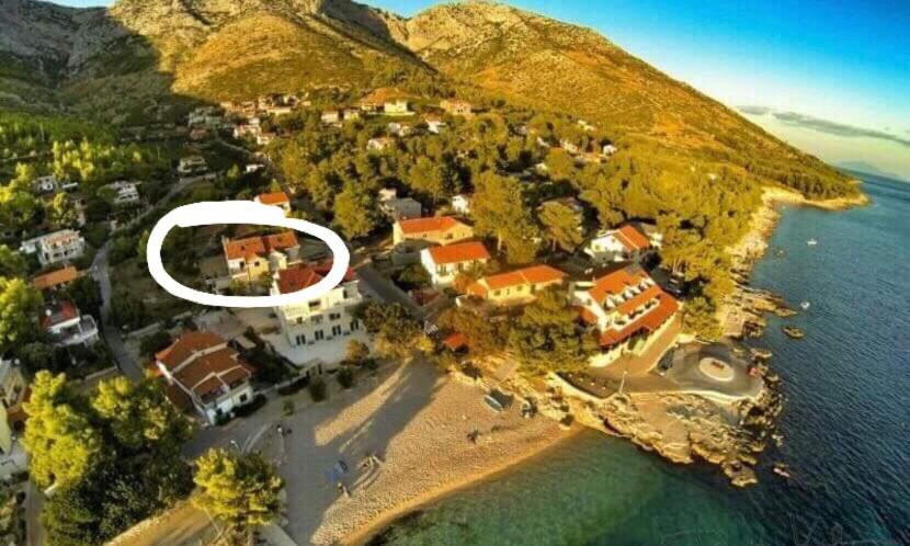 Příroda nedaleko apartmánu