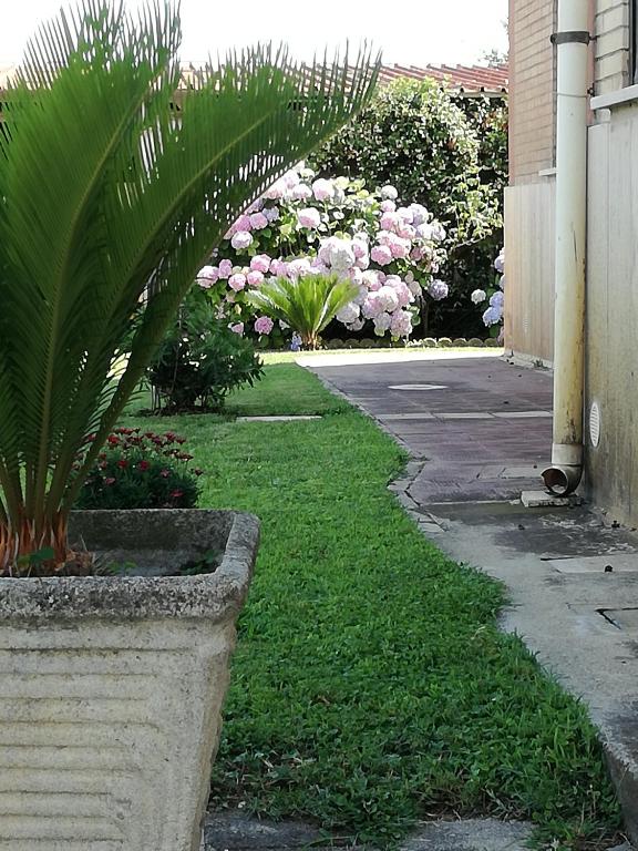 Zahrada ubytování B&B Casa degli Ulivi