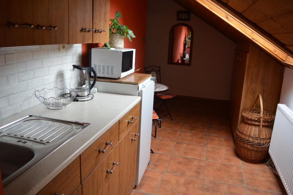 Kuchyň nebo kuchyňský kout v ubytování Guest House Haklův Mlýn