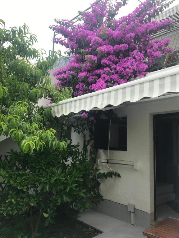 Zahrada ubytování Sara Apartments Baska Voda