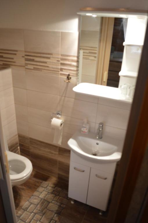 Koupelna v ubytování Guest House Haklův Mlýn