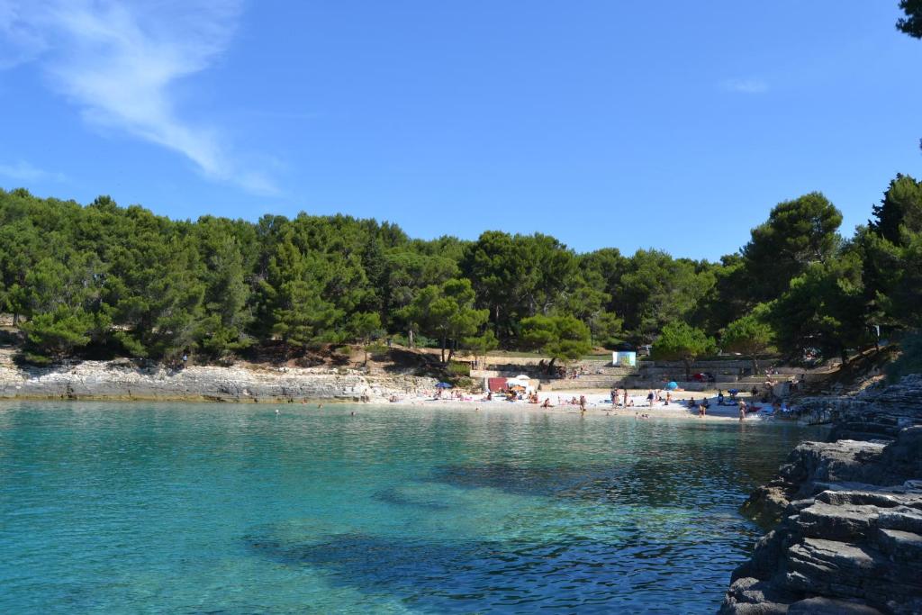 a group of people on a beach in the water at Apartments Nicole in Pula